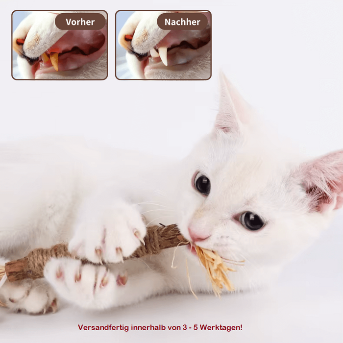 ZAHNLIEBE Katzen-Zahnpflege – Kausticks zur Maulhygiene