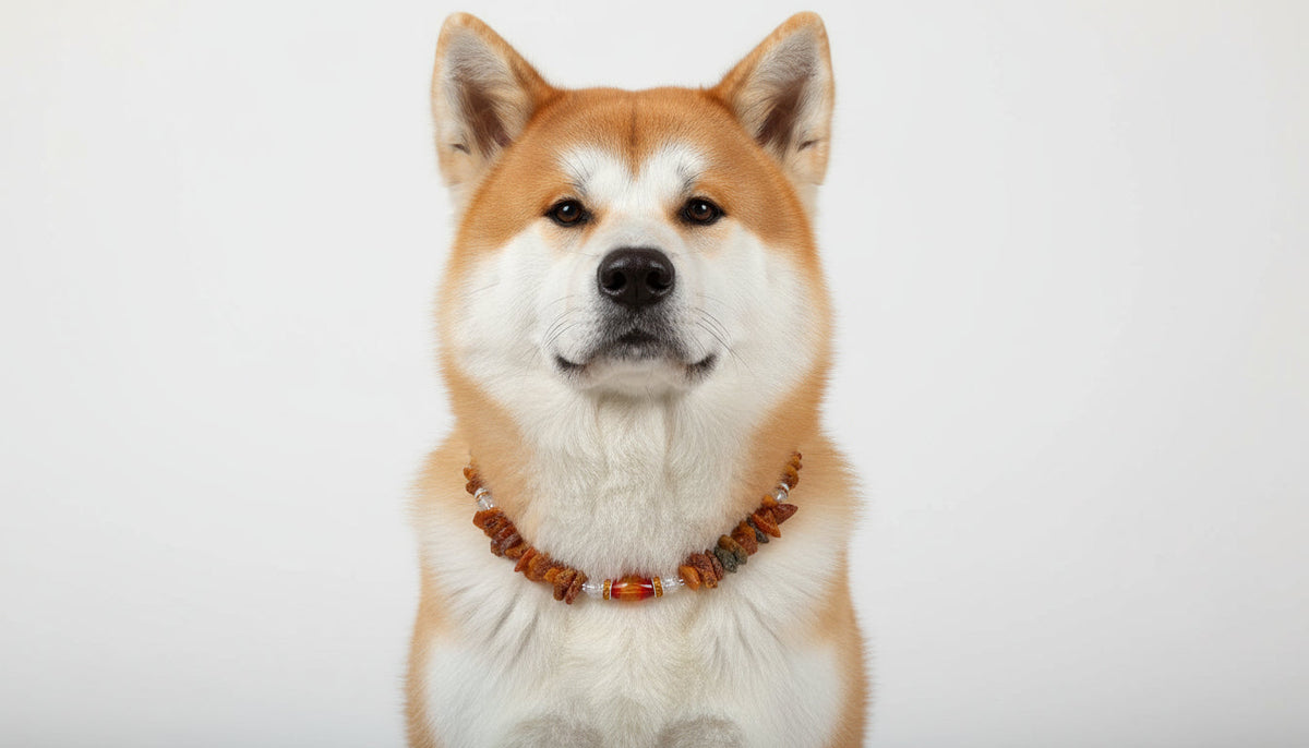 Hunde Bernsteinkette mit Achat und  Bergkristall Länge 46cm