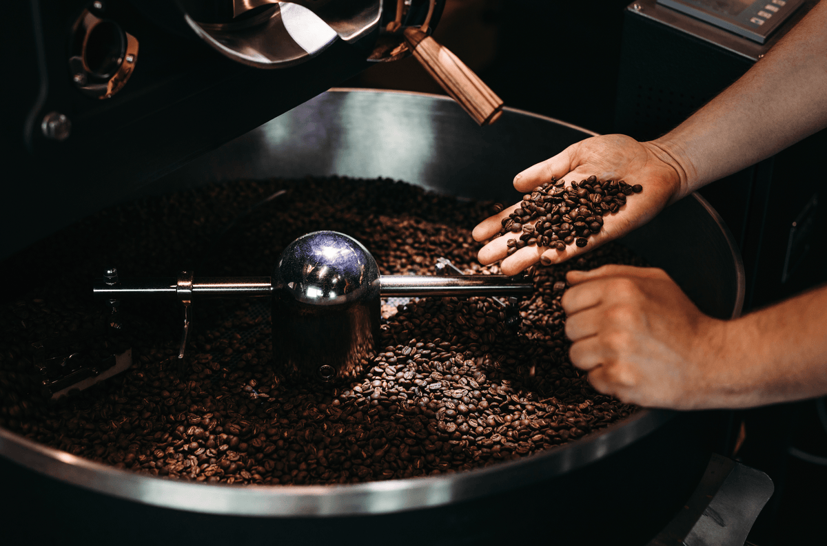 Kaffeeröster-Seminar in Köln
