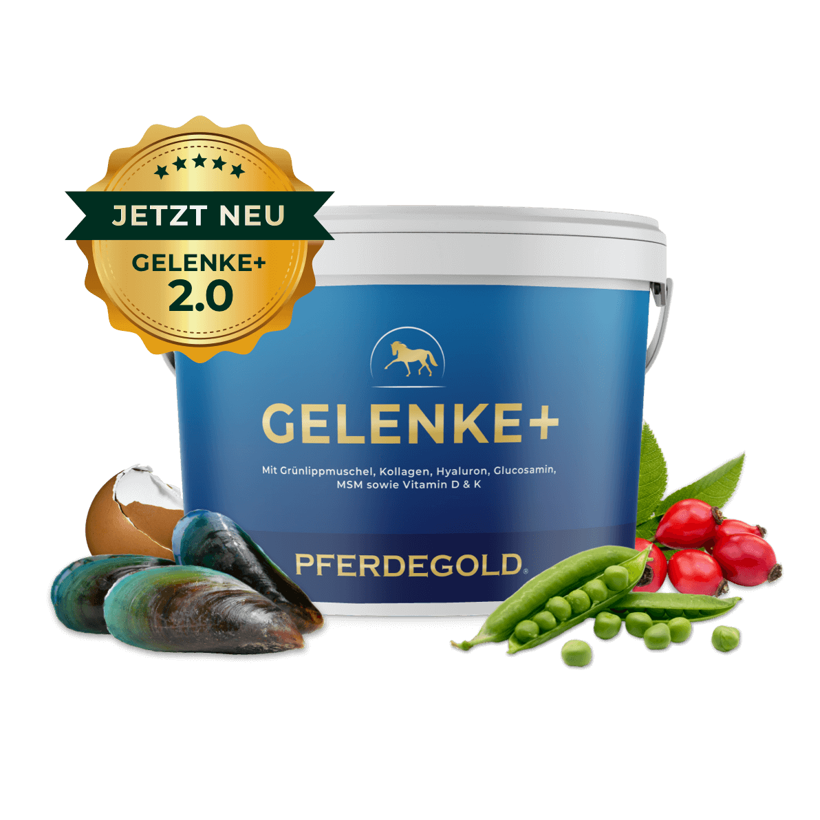 Gelenke+