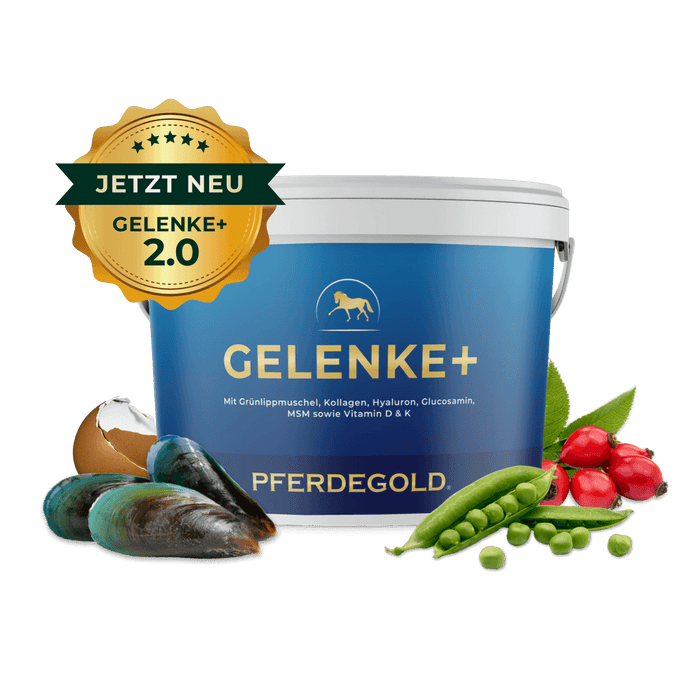 Gelenke+