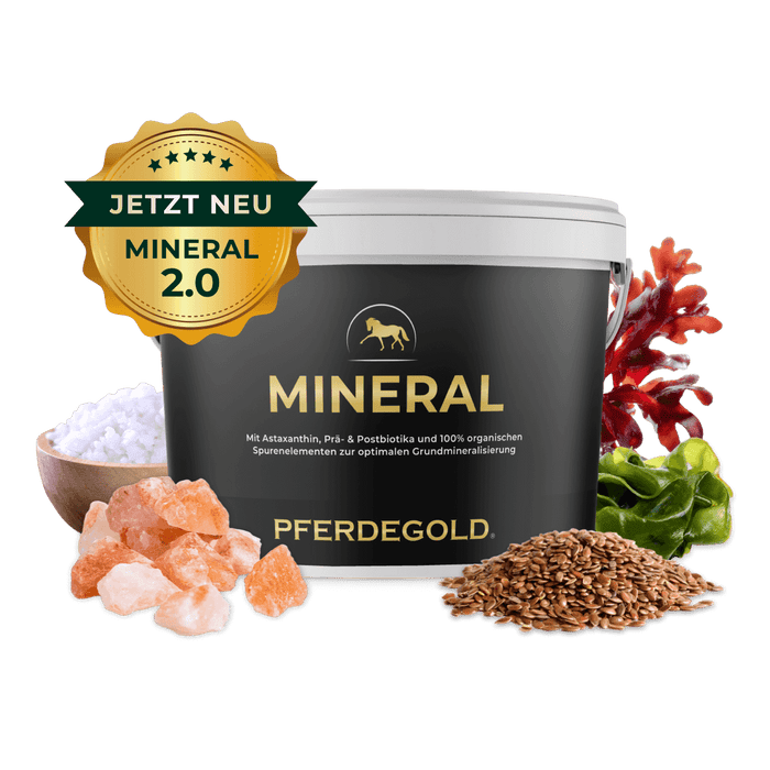 Mineral 2.0