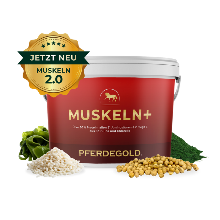 Muskeln+