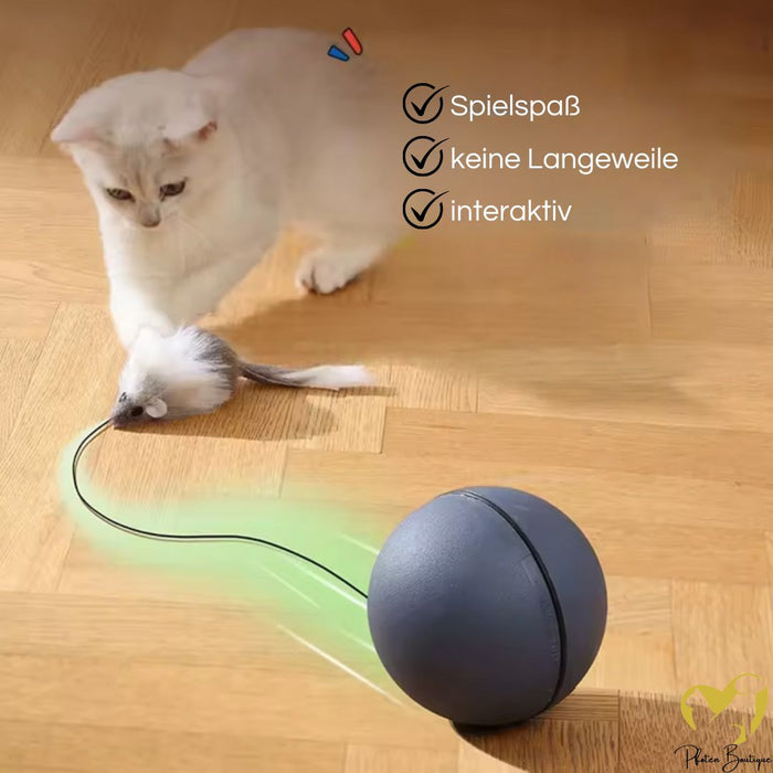 Mausball – interaktives Katzenspielzeug für Bewegung