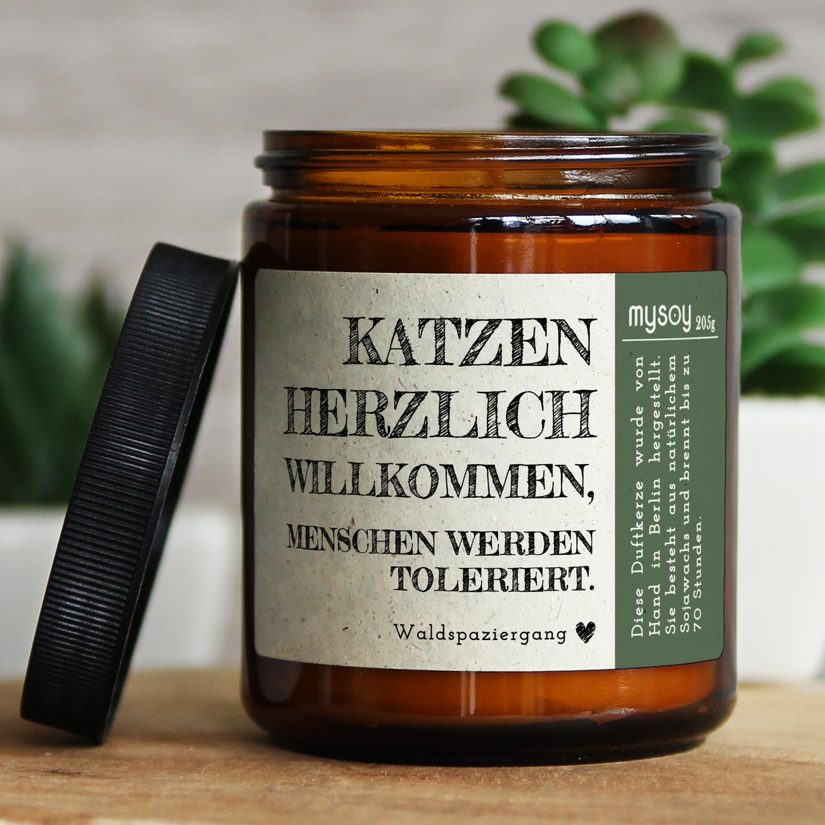 katzen herzlich willkommen, menschen…